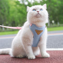 Cat Puppy Outdoor Walking Supplies Fashion Pet Harness and Leash Set for Small Dogs Cats Breathable Durable Kitten Harnesses