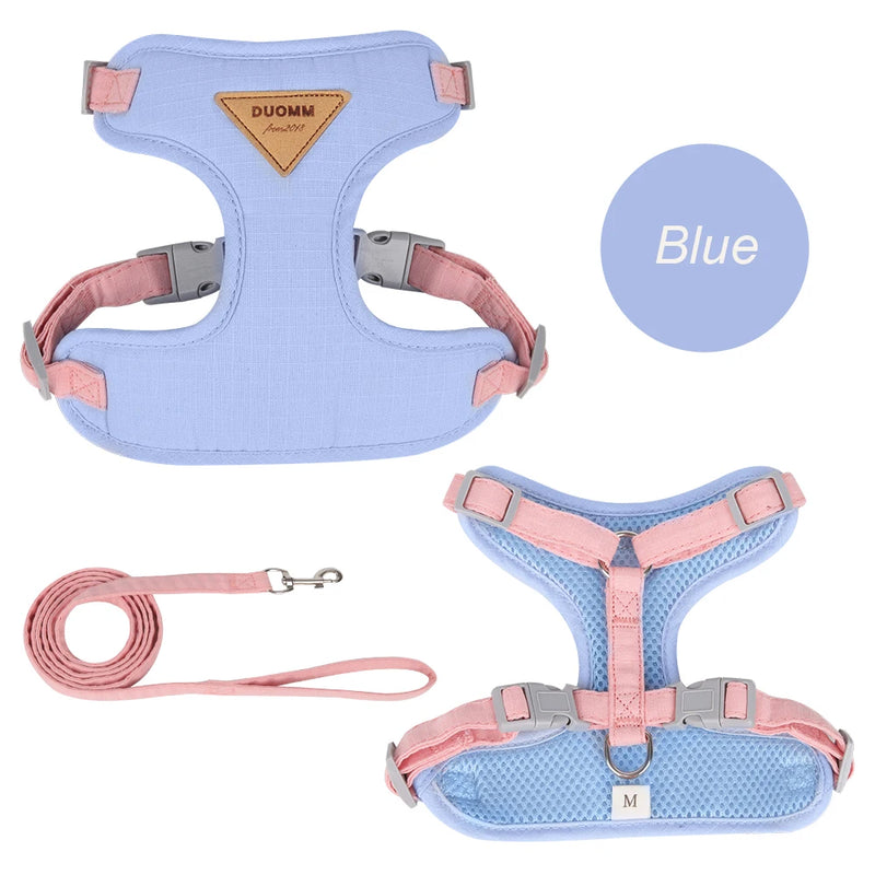 Cat Puppy Outdoor Walking Supplies Fashion Pet Harness and Leash Set for Small Dogs Cats Breathable Durable Kitten Harnesses